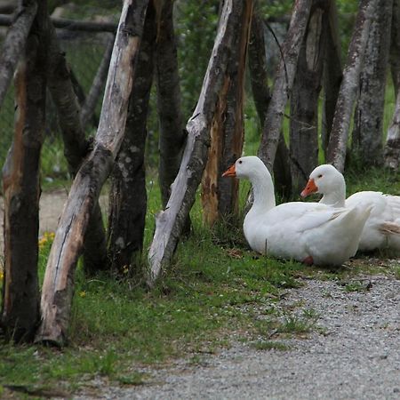 פנאבילי Albergo Lago Verde מראה חיצוני תמונה