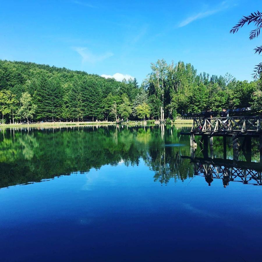 פנאבילי Albergo Lago Verde מראה חיצוני תמונה